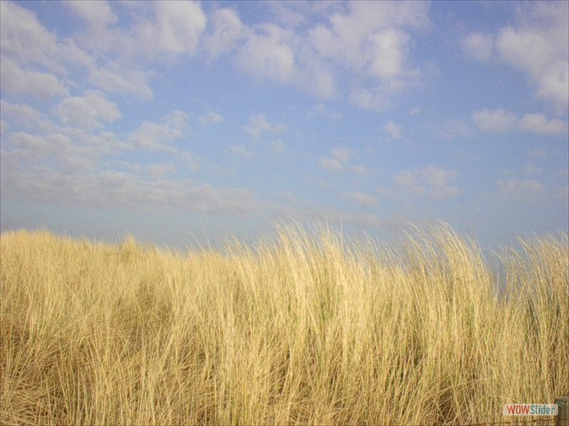 duinen1