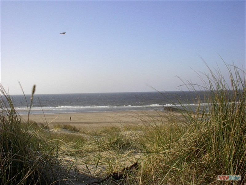 duinen3